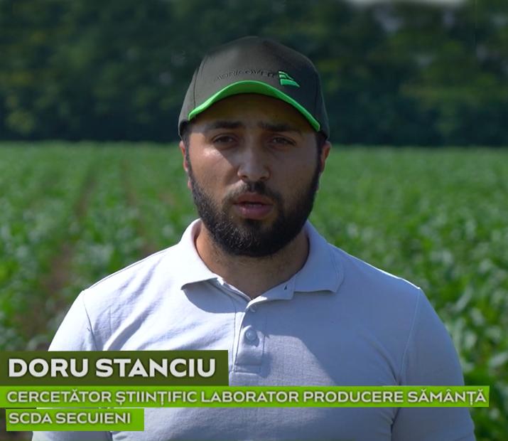 Doru Stanciu shows us the effect of Agricover treatment scheme in maize crop